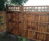 Rear view - Trellis Top Gate and Trellis Top Fencing with wooden posts